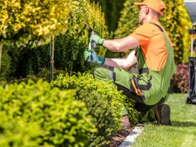 Landscape Design